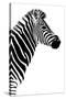 Safari Profile Collection - Zebra White Edition III-Philippe Hugonnard-Stretched Canvas