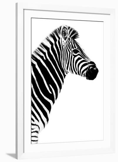 Safari Profile Collection - Zebra White Edition III-Philippe Hugonnard-Framed Photographic Print