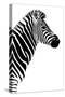 Safari Profile Collection - Zebra White Edition III-Philippe Hugonnard-Stretched Canvas