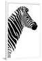 Safari Profile Collection - Zebra White Edition III-Philippe Hugonnard-Framed Photographic Print