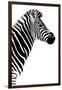 Safari Profile Collection - Zebra White Edition III-Philippe Hugonnard-Framed Photographic Print