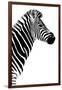 Safari Profile Collection - Zebra White Edition III-Philippe Hugonnard-Framed Photographic Print