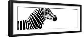 Safari Profile Collection - Zebra White Edition IV-Philippe Hugonnard-Framed Photographic Print