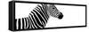 Safari Profile Collection - Zebra White Edition IV-Philippe Hugonnard-Framed Stretched Canvas