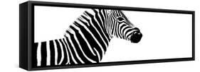 Safari Profile Collection - Zebra White Edition IV-Philippe Hugonnard-Framed Stretched Canvas