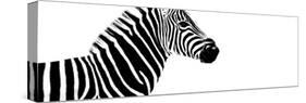 Safari Profile Collection - Zebra White Edition IV-Philippe Hugonnard-Stretched Canvas
