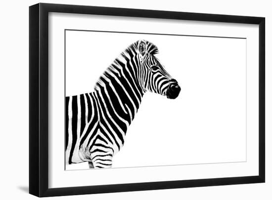 Safari Profile Collection - Zebra White Edition-Philippe Hugonnard-Framed Photographic Print