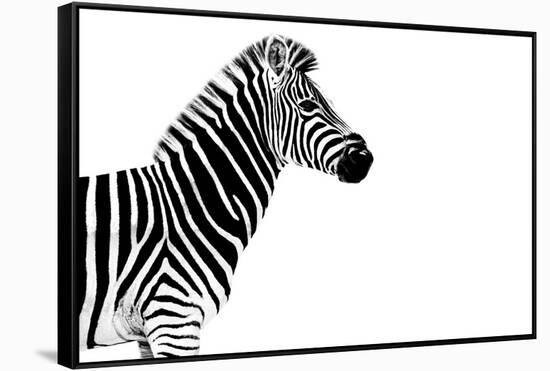 Safari Profile Collection - Zebra White Edition-Philippe Hugonnard-Framed Stretched Canvas