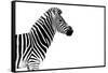 Safari Profile Collection - Zebra White Edition-Philippe Hugonnard-Framed Stretched Canvas