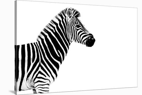 Safari Profile Collection - Zebra White Edition-Philippe Hugonnard-Stretched Canvas
