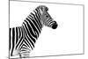 Safari Profile Collection - Zebra White Edition-Philippe Hugonnard-Mounted Photographic Print