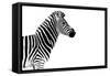 Safari Profile Collection - Zebra White Edition-Philippe Hugonnard-Framed Stretched Canvas