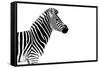 Safari Profile Collection - Zebra White Edition-Philippe Hugonnard-Framed Stretched Canvas