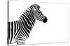 Safari Profile Collection - Zebra White Edition-Philippe Hugonnard-Stretched Canvas