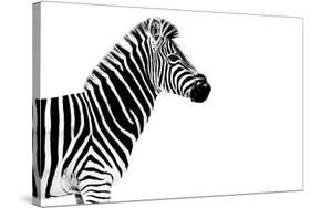 Safari Profile Collection - Zebra White Edition-Philippe Hugonnard-Stretched Canvas