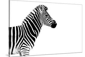 Safari Profile Collection - Zebra White Edition-Philippe Hugonnard-Stretched Canvas