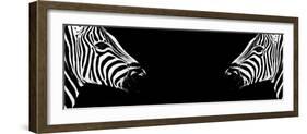 Safari Profile Collection - Zebras Face to Face Black Edition II-Philippe Hugonnard-Framed Photographic Print