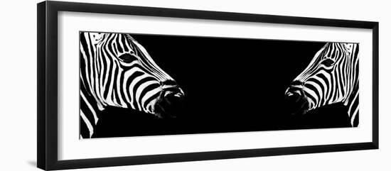 Safari Profile Collection - Zebras Face to Face Black Edition II-Philippe Hugonnard-Framed Photographic Print