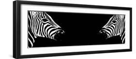 Safari Profile Collection - Zebras Face to Face Black Edition II-Philippe Hugonnard-Framed Photographic Print