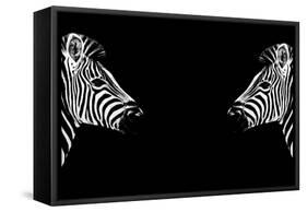 Safari Profile Collection - Zebras Face to Face Black Edition-Philippe Hugonnard-Framed Stretched Canvas