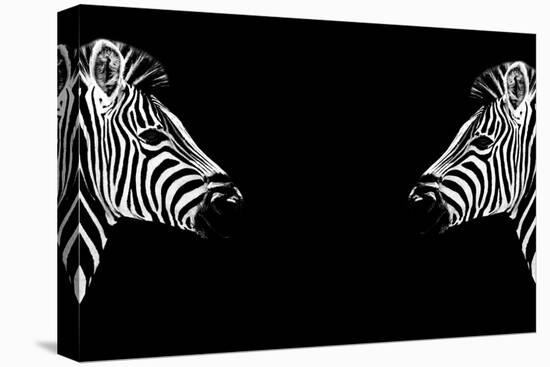 Safari Profile Collection - Zebras Face to Face Black Edition-Philippe Hugonnard-Stretched Canvas