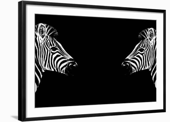 Safari Profile Collection - Zebras Face to Face Black Edition-Philippe Hugonnard-Framed Photographic Print