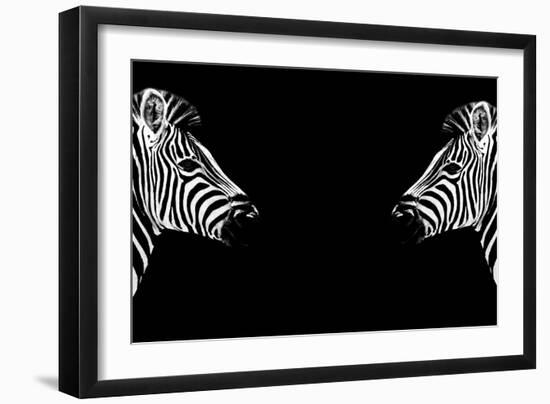 Safari Profile Collection - Zebras Face to Face Black Edition-Philippe Hugonnard-Framed Photographic Print