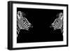 Safari Profile Collection - Zebras Face to Face Black Edition-Philippe Hugonnard-Framed Photographic Print