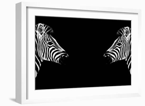 Safari Profile Collection - Zebras Face to Face Black Edition-Philippe Hugonnard-Framed Photographic Print