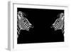 Safari Profile Collection - Zebras Face to Face Black Edition-Philippe Hugonnard-Framed Photographic Print