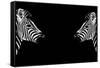 Safari Profile Collection - Zebras Face to Face Black Edition-Philippe Hugonnard-Framed Stretched Canvas