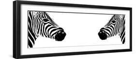 Safari Profile Collection - Zebras Face to Face White Edition II-Philippe Hugonnard-Framed Photographic Print