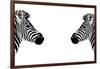 Safari Profile Collection - Zebras Face to Face White Edition-Philippe Hugonnard-Framed Photographic Print