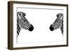 Safari Profile Collection - Zebras Face to Face White Edition-Philippe Hugonnard-Framed Photographic Print
