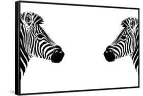 Safari Profile Collection - Zebras Face to Face White Edition-Philippe Hugonnard-Framed Stretched Canvas