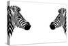 Safari Profile Collection - Zebras Face to Face White Edition-Philippe Hugonnard-Stretched Canvas