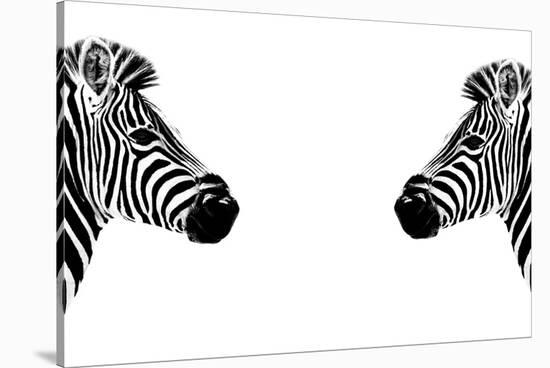 Safari Profile Collection - Zebras Face to Face White Edition-Philippe Hugonnard-Stretched Canvas