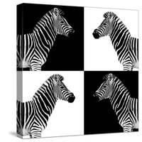 Safari Profile Collection - Zebras II-Philippe Hugonnard-Stretched Canvas