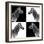 Safari Profile Collection - Zebras II-Philippe Hugonnard-Framed Photographic Print