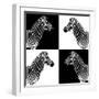 Safari Profile Collection - Zebras II-Philippe Hugonnard-Framed Photographic Print