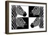 Safari Profile Collection - Zebras III-Philippe Hugonnard-Framed Photographic Print