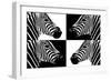 Safari Profile Collection - Zebras III-Philippe Hugonnard-Framed Photographic Print