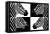 Safari Profile Collection - Zebras III-Philippe Hugonnard-Framed Stretched Canvas