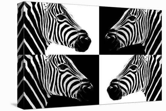 Safari Profile Collection - Zebras III-Philippe Hugonnard-Stretched Canvas