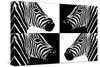 Safari Profile Collection - Zebras III-Philippe Hugonnard-Stretched Canvas
