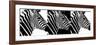 Safari Profile Collection - Zebras IV-Philippe Hugonnard-Framed Photographic Print