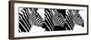 Safari Profile Collection - Zebras IV-Philippe Hugonnard-Framed Photographic Print