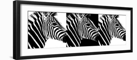 Safari Profile Collection - Zebras IV-Philippe Hugonnard-Framed Photographic Print