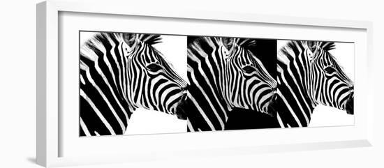 Safari Profile Collection - Zebras IV-Philippe Hugonnard-Framed Photographic Print
