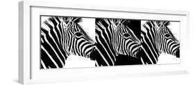 Safari Profile Collection - Zebras IV-Philippe Hugonnard-Framed Photographic Print